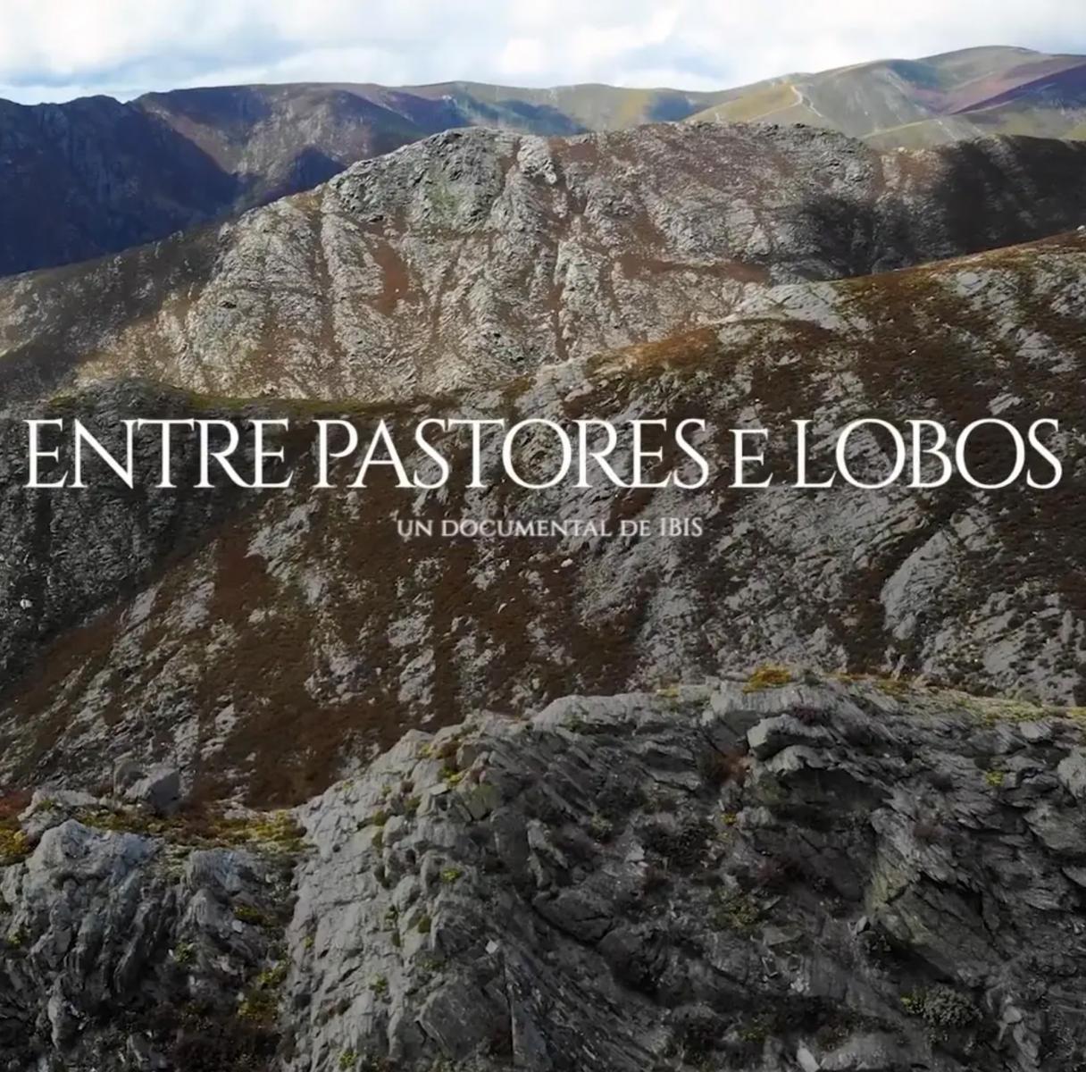 Entre pastores e lobos